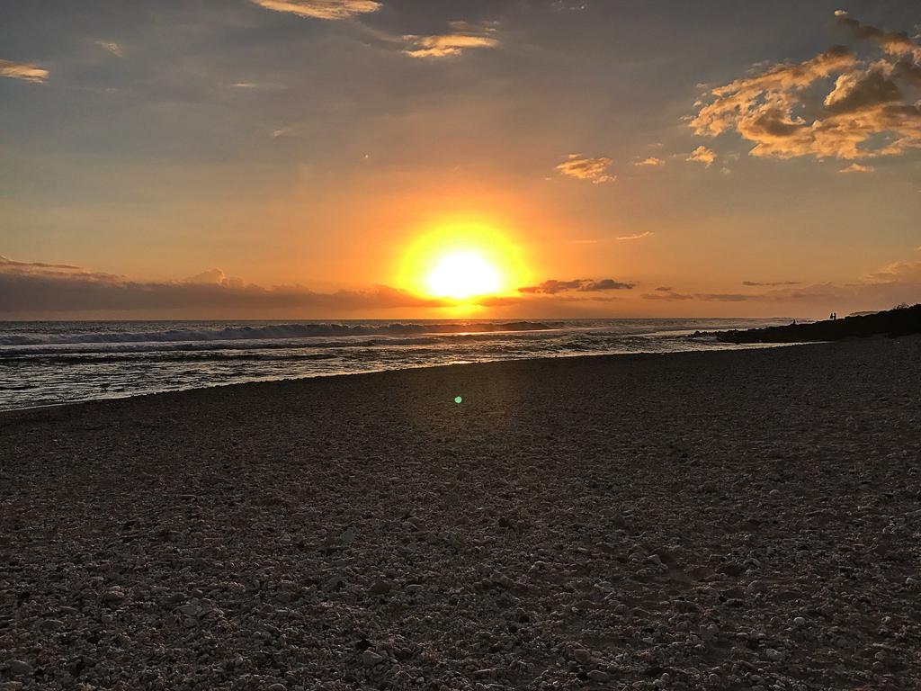 Le Petrel Blanc - Appartement Sur La Plage De La Souris Blanche Trois Bassins ภายนอก รูปภาพ