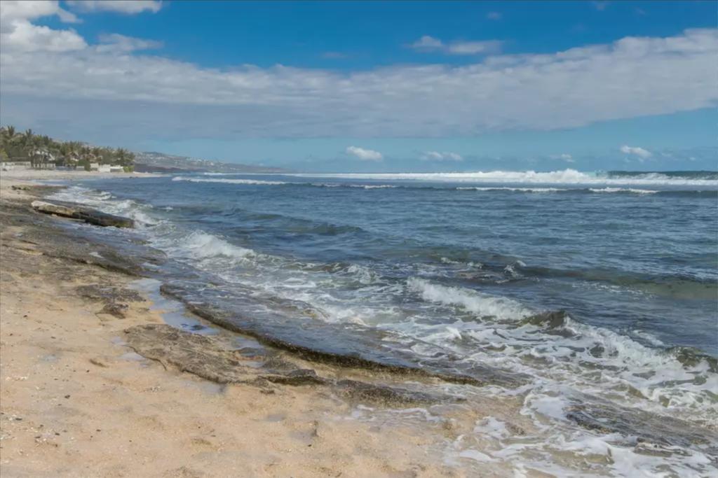 Le Petrel Blanc - Appartement Sur La Plage De La Souris Blanche Trois Bassins ภายนอก รูปภาพ
