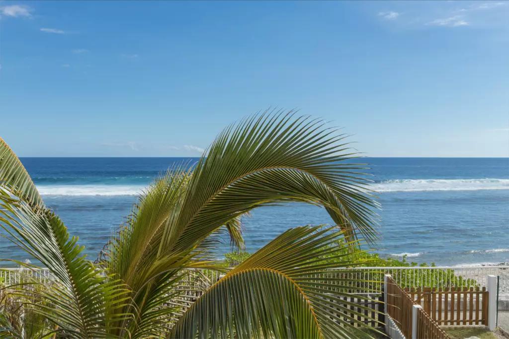 Le Petrel Blanc - Appartement Sur La Plage De La Souris Blanche Trois Bassins ภายนอก รูปภาพ